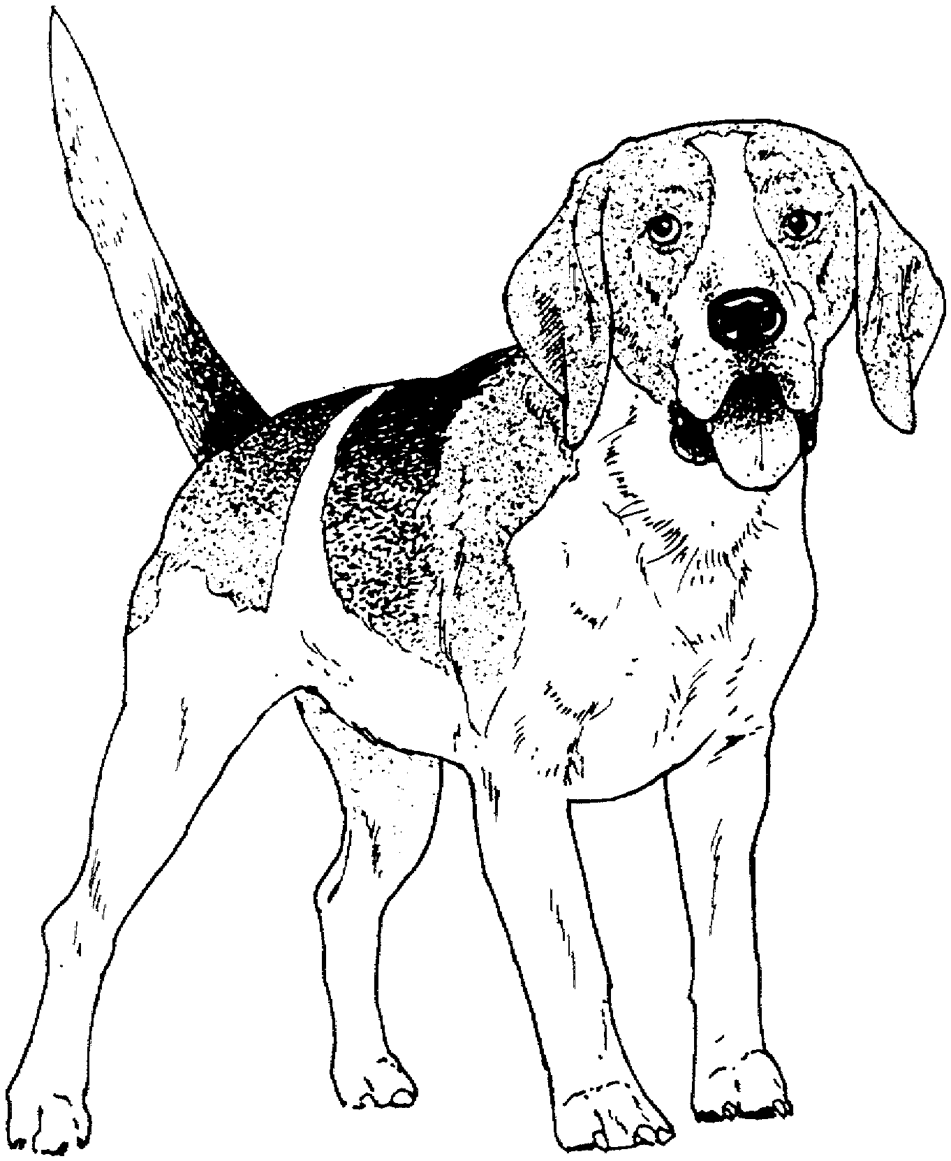Free Printable Dog Coloring Pages For Kids Dog Coloring Pages For