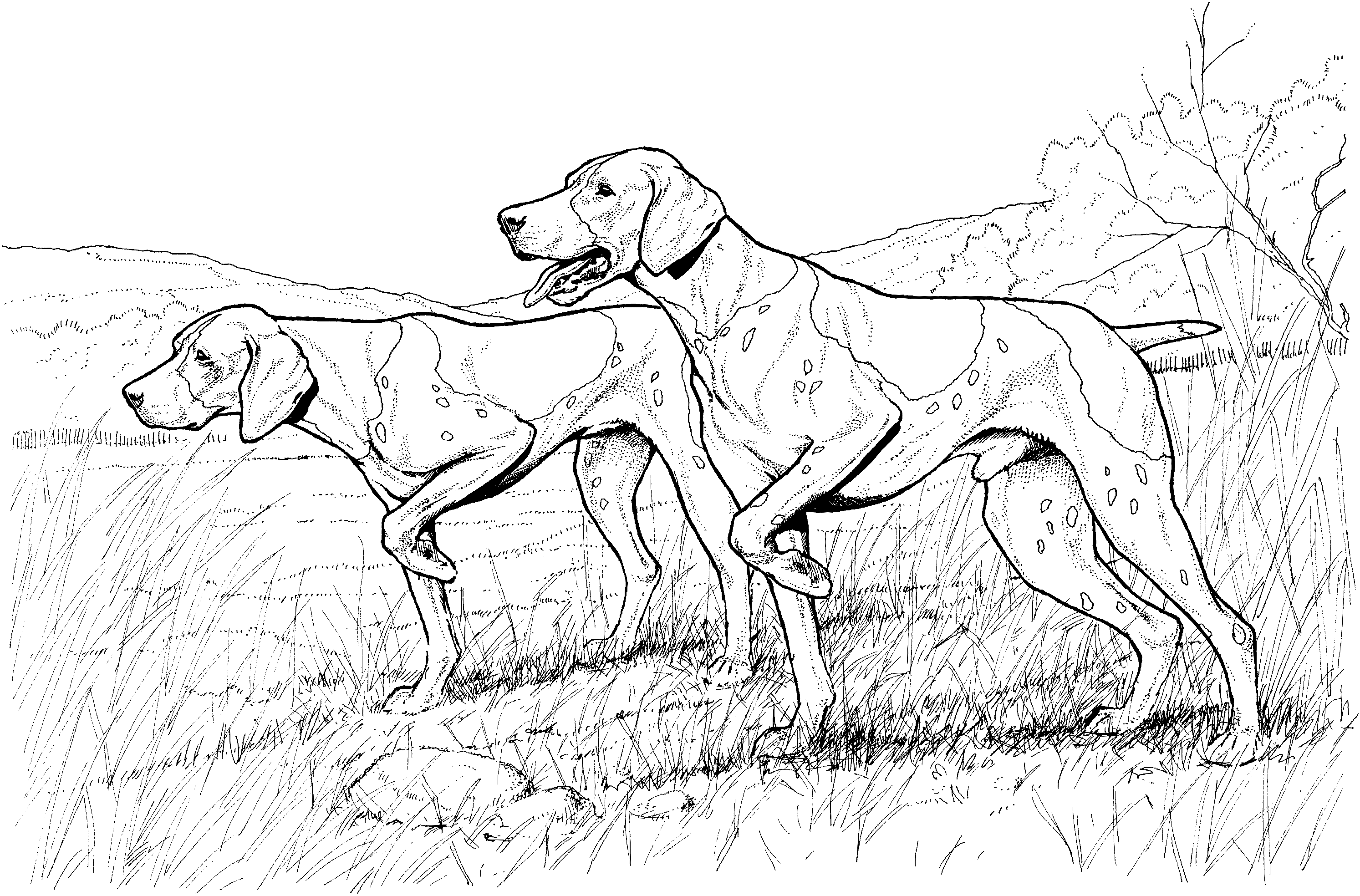 29+ Dog printable coloring pages realistic info